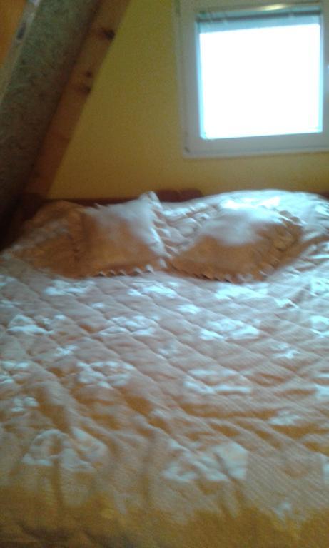Apartment Mg Žabljak Dış mekan fotoğraf